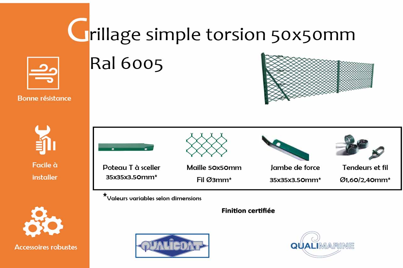 Analyzing image grillage-simple-torsion-maille-50x50-mm-vert-mousse-6005-info