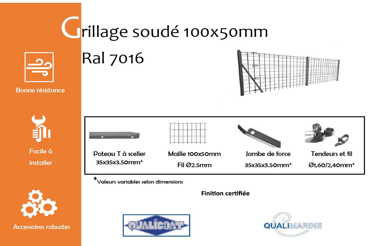 Analyzing image grillage-soude-maille-100x50-mm-gris-anthracite-7016-info