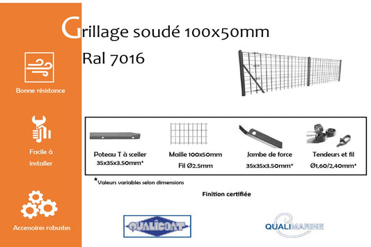 Analyzing image grillage-soude-maille-100x50-mm-gris-anthracite-7016-info