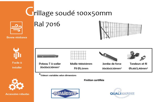  Analyzing image    grillage-soude-maille-100x50-mm-gris-anthracite-7016-info