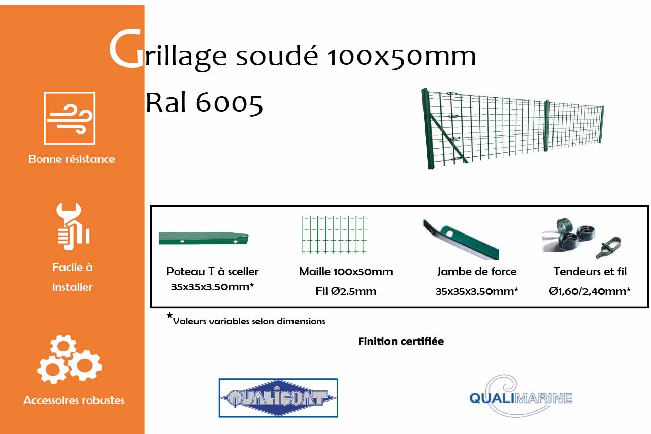 grillage-soude-maille-100x50-mm-vert-mousse-6005-info