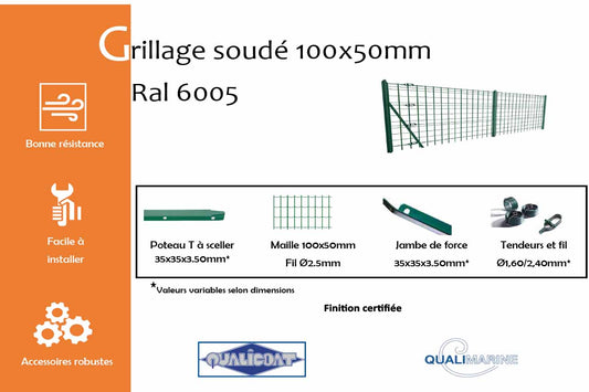 grillage-soude-maille-100x50-mm-vert-mousse-6005-info